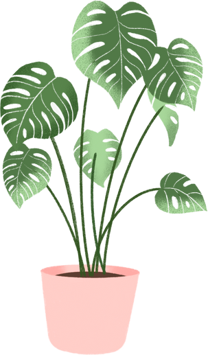 Indoor plant illustration 